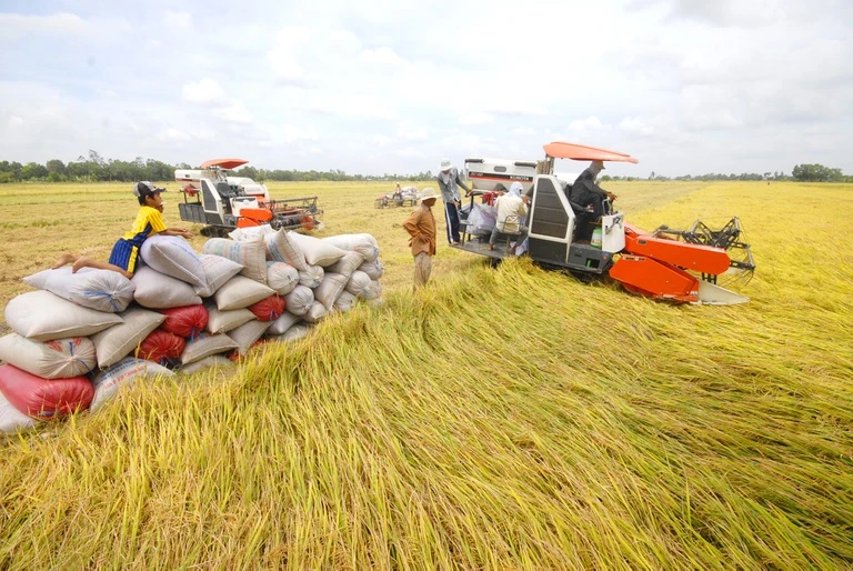 Nông dân ĐBSCL sản xuất theo mô hình trồng lúa thông minh, cơ giới hóa.