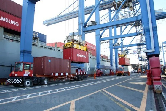 Tổng cục Hải quan cho phép vận chuyển hàng hóa đang lưu giữ tại cảng Cát Lái đến cảng biển khác trên địa bàn TPHCM và các cảng cạn ICD để lưu giữ. Ảnh: TTXVN