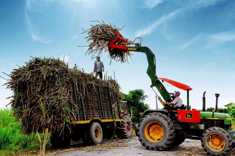 Trong niên vụ 2021-2022, Hiệp hội Mía đường Việt Nam dự kiến diện tích trồng mía sẽ tăng khoảng 10 - 20% so với cùng kỳ và việc mở rộng có thể tiếp tục diễn ra trong những năm tiếp theo do nông dân thu được lợi nhuận từ vụ mía.