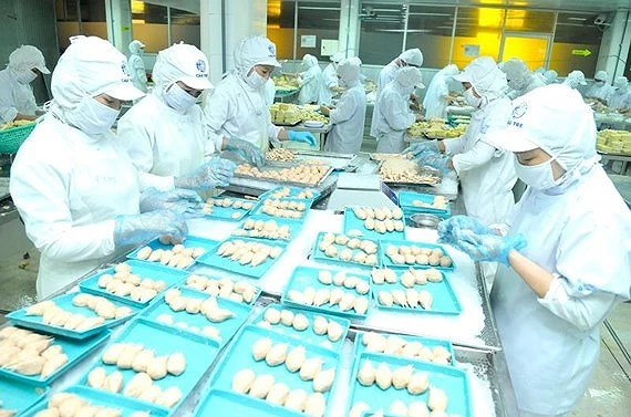 Workers process food at a Korean company in Ho Chi Minh City. (Photo: SGGP)