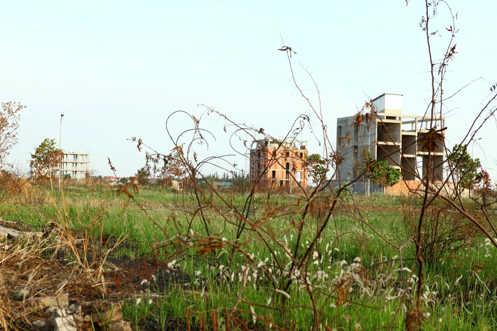 There must be highly progressive levels of land use tax to prevent unused or abandoned land. Photo: LONG THANH