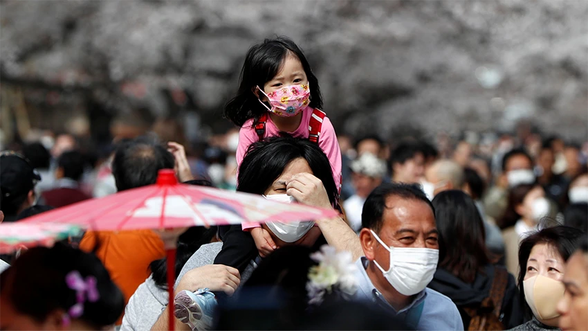 Visitors wearing protective face masks look at blooming cherry blossoms at Ueno park in Tokyo. © Reuters