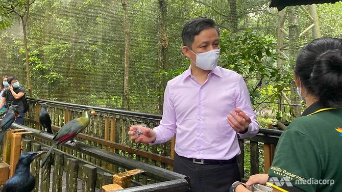 Bộ trưởng Thương mại và Công nghiệp Chan Chun Sing tại Vườn chim Jurong phát biểu về phiếu mua hàng du lịch mới vào ngày 16 tháng 9 năm 2020. (Ảnh: Ang Hwee Min)