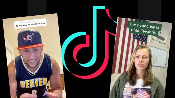 TikTok users have been getting huge hits with political content, from an anti-Trump song by user @nautical80 to a defence of Trumpism by user @thesavvytruth