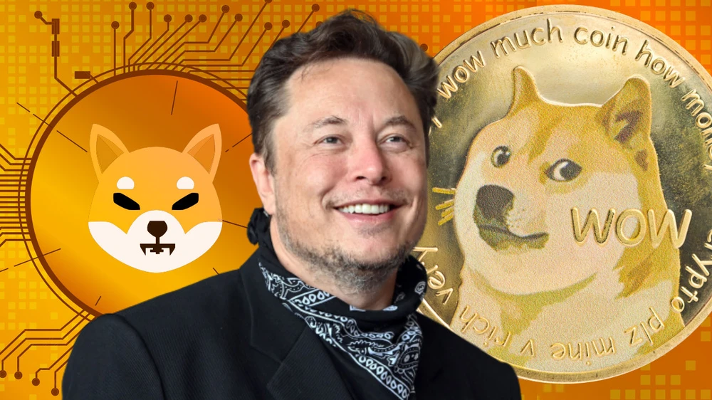 Dogecoin tăng vọt sau khi Elon Musk thay thế chú chim Twitter bằng chó Shiba Inu