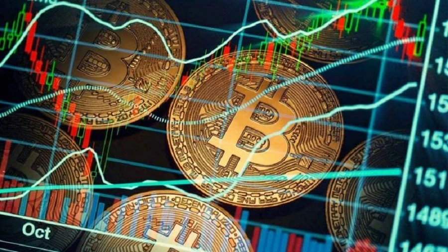 Holder Bitcoin dài hạn lần đầu tiên có lãi sau gần 1 năm