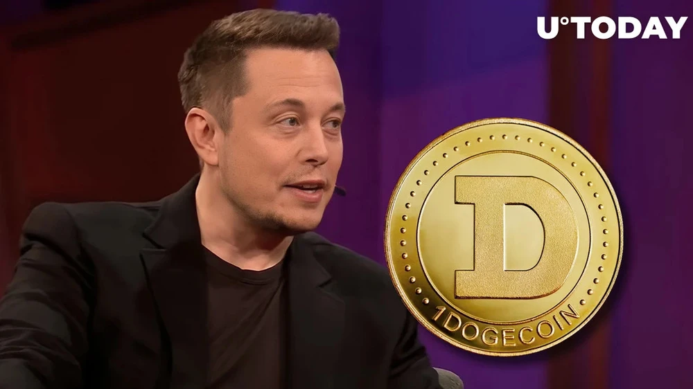 Elon Musk: Nhà đầu tư không nên đặt cược toàn bộ vào Dogecoin