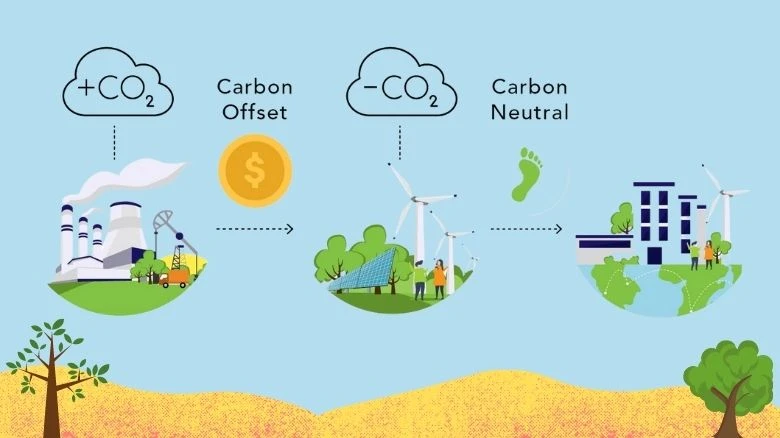 Strategies to Foster Growth in the Carbon Credit Market