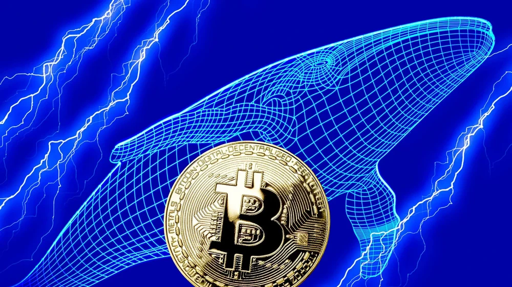 Hoạt động của cá voi Bitcoin và Ethereum tương phản rõ rệt