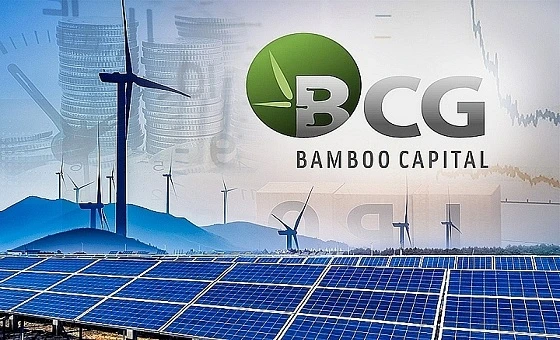 Bamboo Capital Group's Financial Challenges