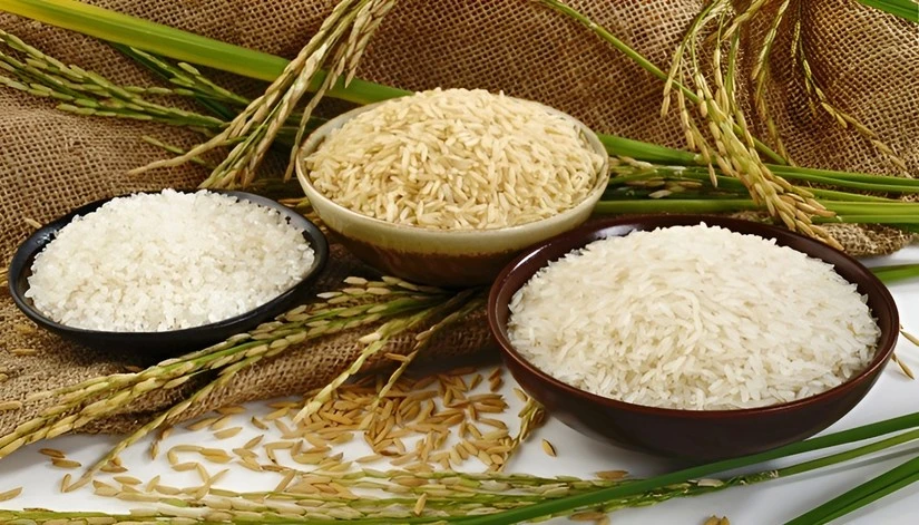 World Bank: Giá gạo sẽ tiếp tục tăng cao trong năm 2024