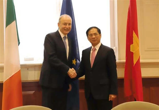 Vietnamese Minister of Foreign Affairs Bui Thanh Son (R) and Ireland’s Deputy Prime Minister, Minister for Foreign Affairs and Minister for Defense Micheál Martin. (Photo: VNA)