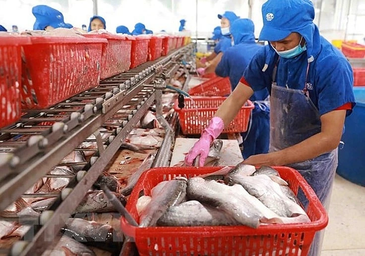 Challenges Persist for Pangasius Industry Despite Positive US Market Outlook