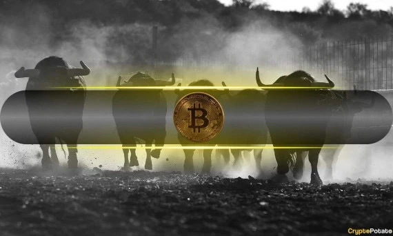 'Bull run' hiện tại của Bitcoin thách thức các mô hình lịch sử
