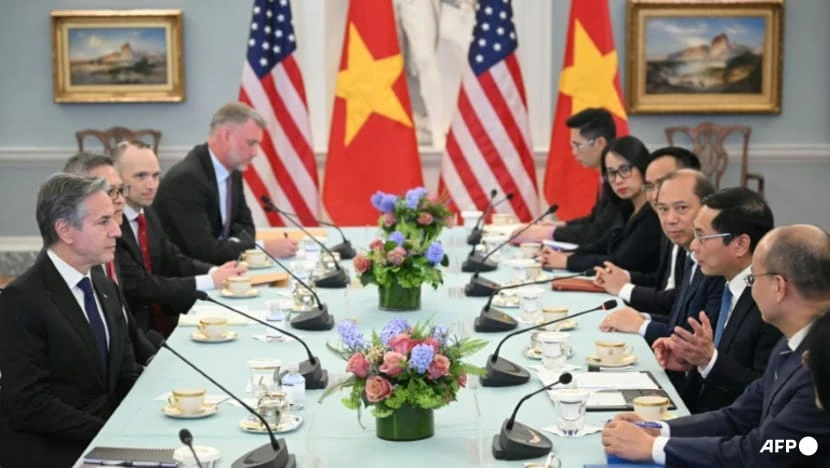 Vietnamese Foreign Minister Bui Thanh Son speaks during a meeting with US Secretary of State Antony Blinken on Mar 25, 2024. (Photo: AFP/Mandel Ngan)