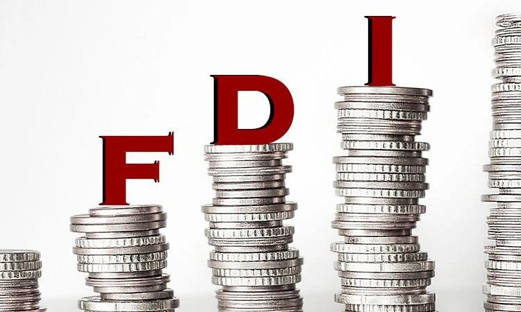 Raising the USD Interest Rate Cap to Attract FDI