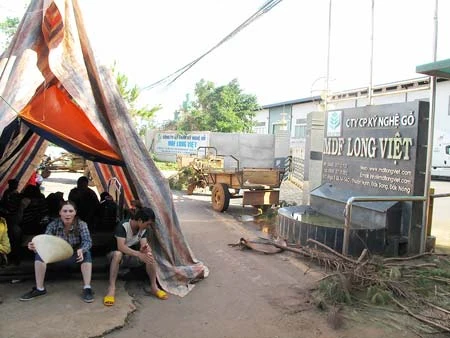 Người dân dựng lều trước cổng Công ty CP kỹ nghệ gỗ MDF Long Việt