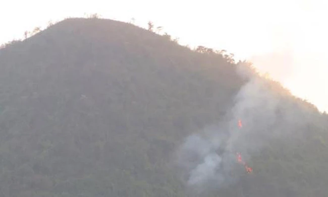 Hình ảnh cháy rừng tại Vườn Quốc gia Tam Đảo. Ảnh: TTXVN