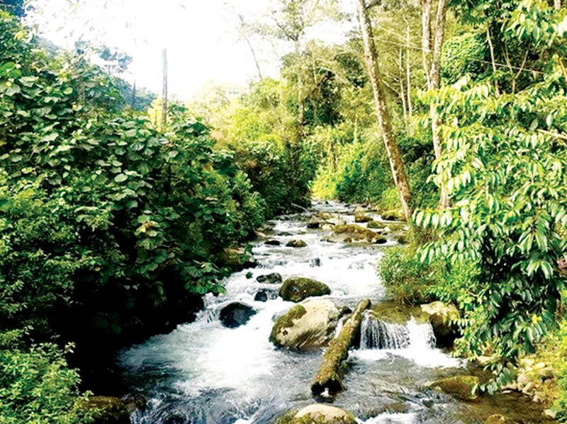 UNESCO công nhận khu dự trữ sinh quyển mới tại Costa Rica