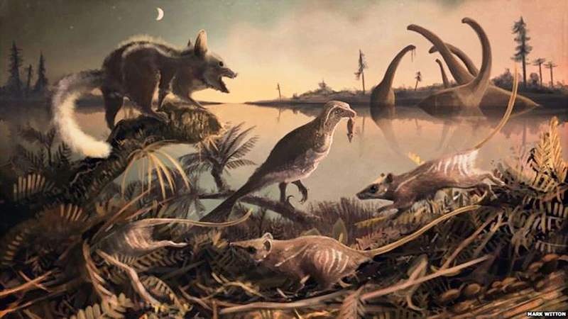 Phát hiện hóa thạch cổ nhất của động vật có vú