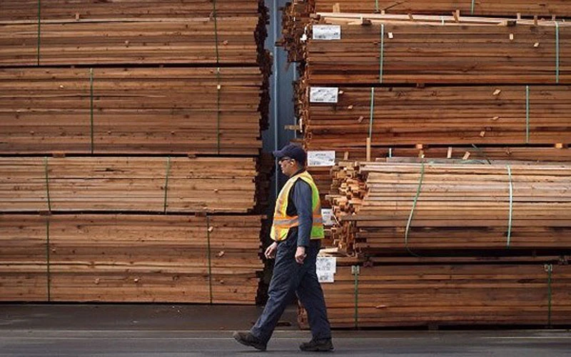 Bộ Thương mại Mỹ áp thêm thuế chống phá giá với gỗ mềm Canada (Ảnh: Canadian Press)