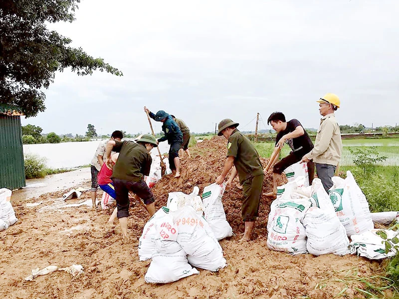 Bộ đội cùng người dân huyện Quốc Oai (Hà Nội) chung sức đắp đê bao ngăn nước lũ sông Tích tràn vào khu dân cư ngày 22-7