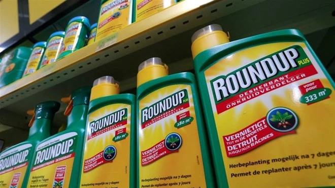 Thuốc diệt cỏ Roundup của công ty hóa chất Mỹ Monsanto. (Nguồn: aljazeera.com)