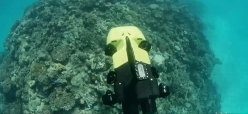 Australia sử dụng robot bảo vệ rạn san hô