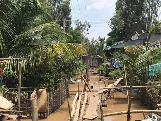 Nhiều ấp ở huyện An Phú và Châu Đốc, tỉnh An Giang đã bị ngập trong nước lũ. Ảnh: ĐINH THANH VÂN