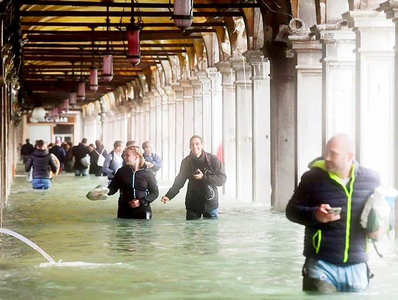 Venice chìm gần như hoàn toàn trong biển nước