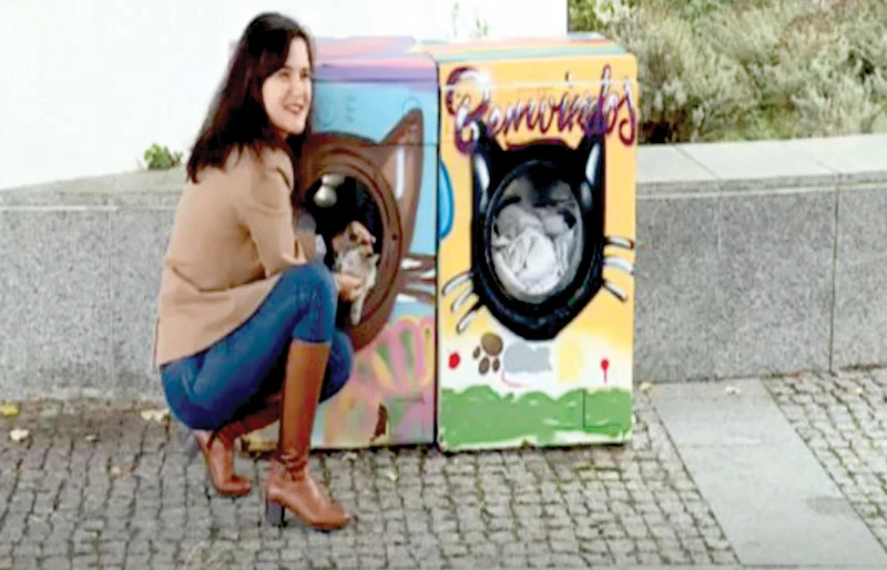 Biến máy giặt thành nhà cho mèo hoang