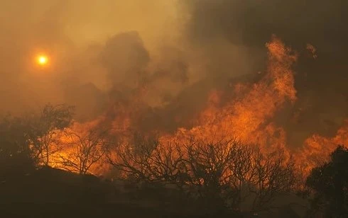 Ngọn lửa đã thiêu rụi 70.000 hec-ta rừng ở California, Mỹ. Ảnh: REUTERS