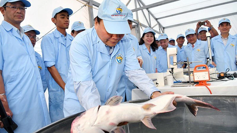 Thủ tướng Nguyễn Xuân Phúc thăm khu sản xuất cá tra giống công nghệ cao của Công ty cổ phần Việt Úc. Ảnh: VGP