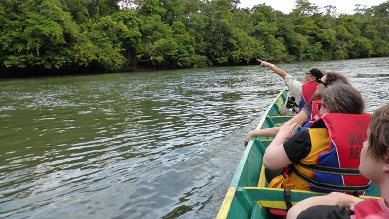 Du khách tham quan rừng ngập mặn ở Brunei ​