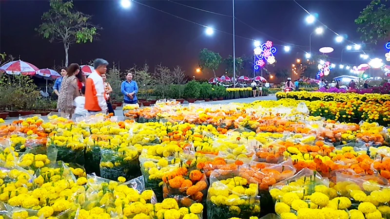 Khách tham quan gian hàng hoa tại chợ Hoa xuân Bình Điền 2018