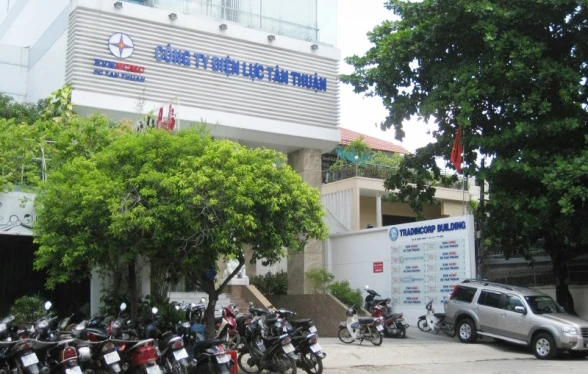 Công ty Điện lực Tân Thuận