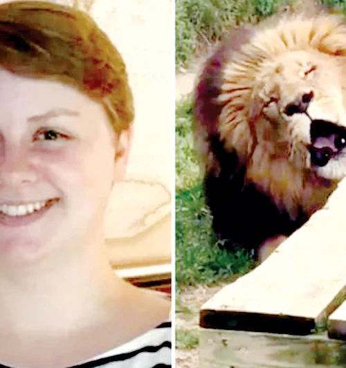 Sư tử tấn công khiến nhân viên vườn thú thiệt mạng