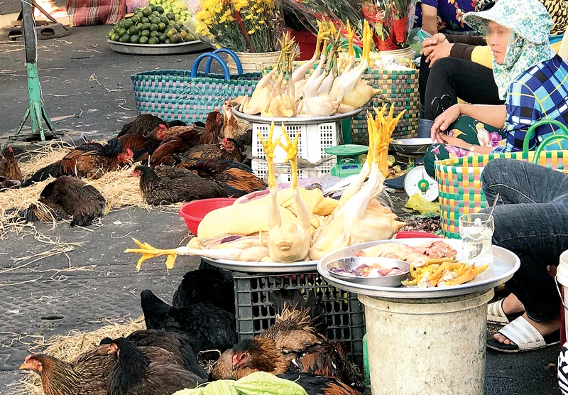 Thực phẩm tươi sống được bày bán la liệt dưới lòng đường khu chợ Hòa Bình. Ảnh: HOÀNG HÙNG 