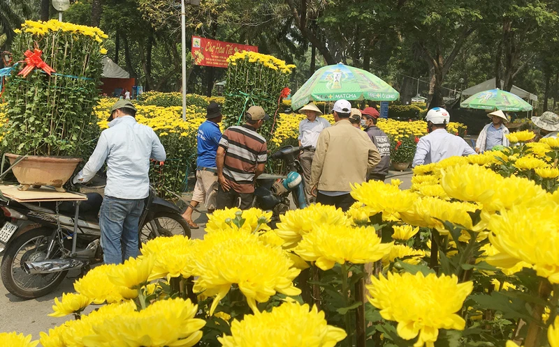 Khách chọn mua hoa chiều 28-1 tại công viên Gia Định