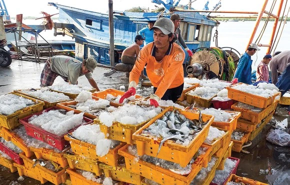 Đề nghị EC sớm gỡ bỏ “thẻ vàng” cho thủy sản của Việt Nam