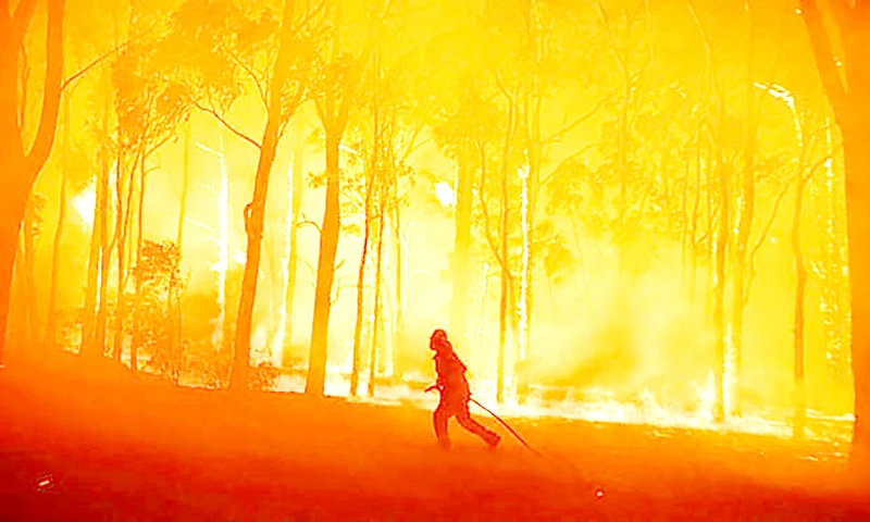 Cháy rừng tại bang New South Wales