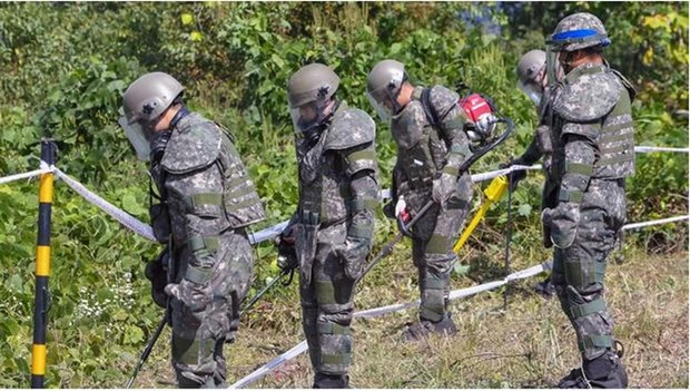 Các binh sỹ Hàn Quốc dò mìn trong Khu phi quân sự. Ảnh: Reuters