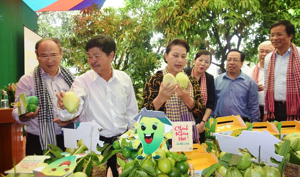 Chủ tịch Quốc hội Nguyễn Thị Kim Ngân trong chuyến về thăm HTX Xoài Mỹ Xương (huyện Cao Lãnh, tỉnh Đồng Tháp), một trong những HTX kiểu mới, hoạt động hiệu quả 
