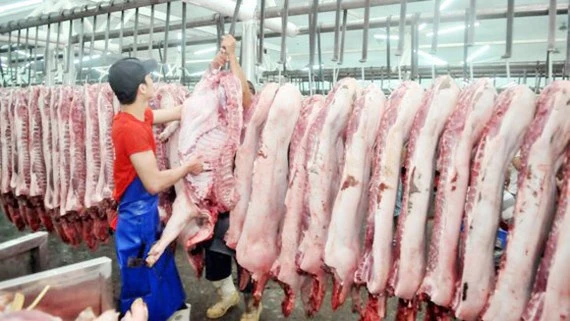 Thị trường thịt heo cuối năm dự báo ổn định