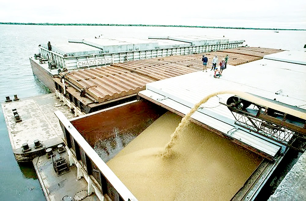 Lúa mì tại Argentina được chuyển lên tàu xuất khẩu