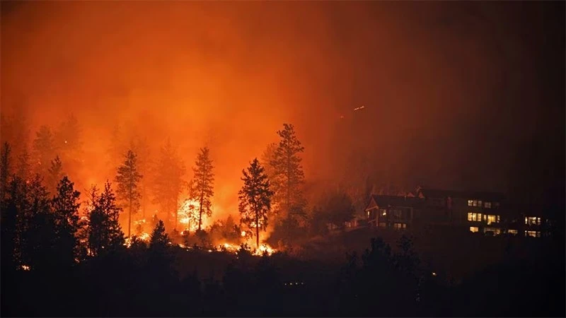 Cháy rừng tại tỉnh bang British Columbia, miền tây Canada, ngày 19-8-2023. Ảnh: REUTERS