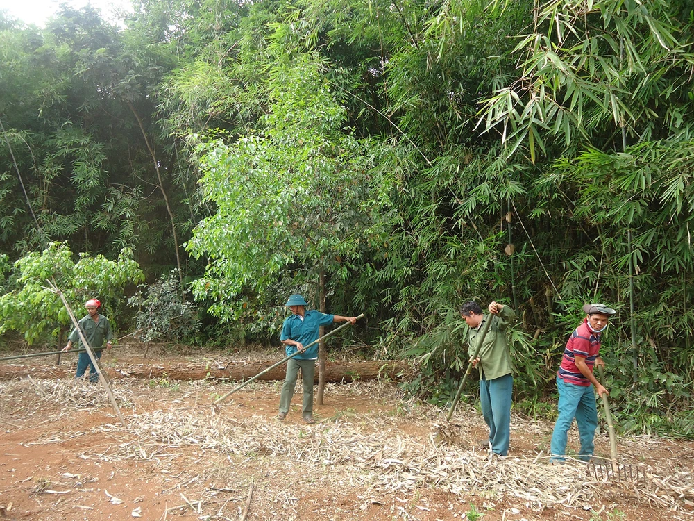 Cộng đồng nhận khoán rừng đặc dụng Vườn quốc gia Bù Gia Mập dọn ranh bảo vệ rừng
