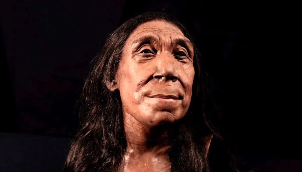 Khuôn mặt người Neanderthal 75.000 năm tuổi