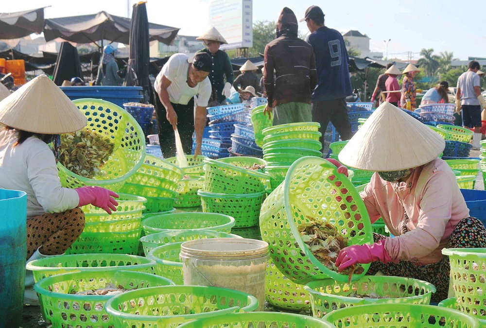 Ngư trường không thuận lợi nên ngư dân Bình Thuận chỉ khai thác được các loại hải sản ít có giá trị kinh tế