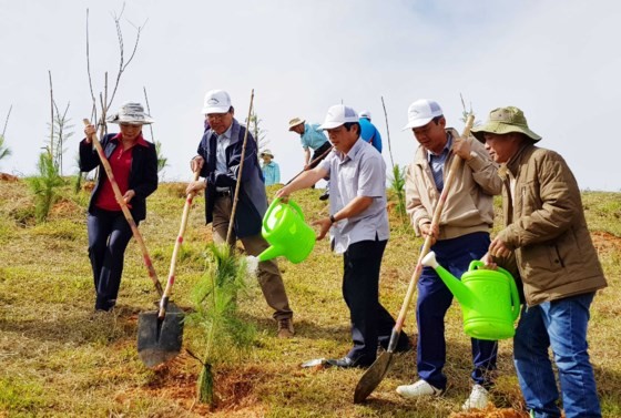 Lam Dong's leaders join in planting trees